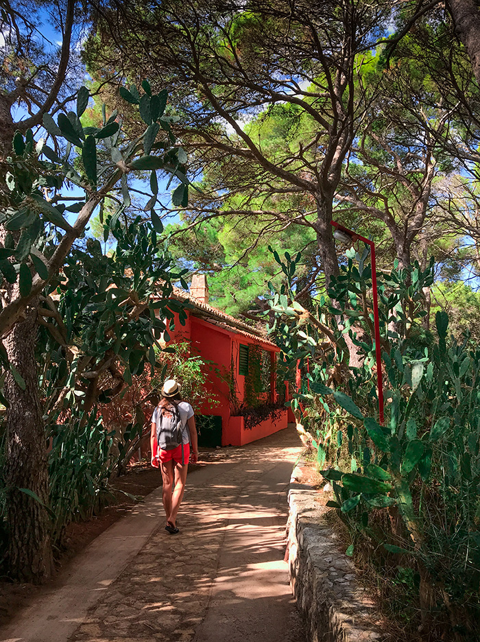 Unberührte Natur auf Palmižana in Kroatien