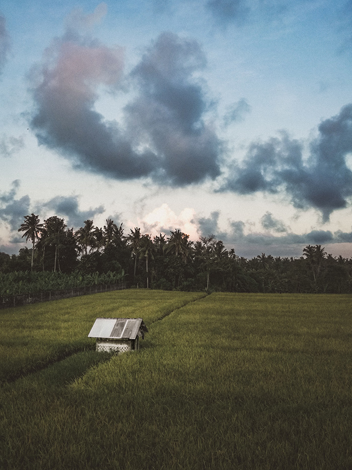 Bali - Das Inselparadies Indonesiens