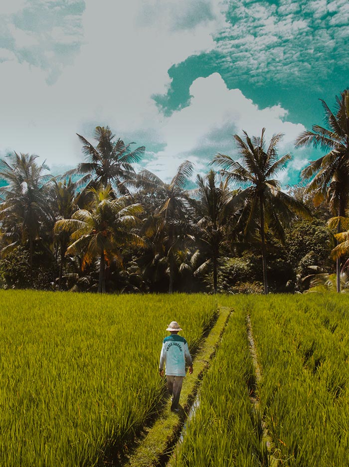 Bali - Das Inselparadies Indonesiens