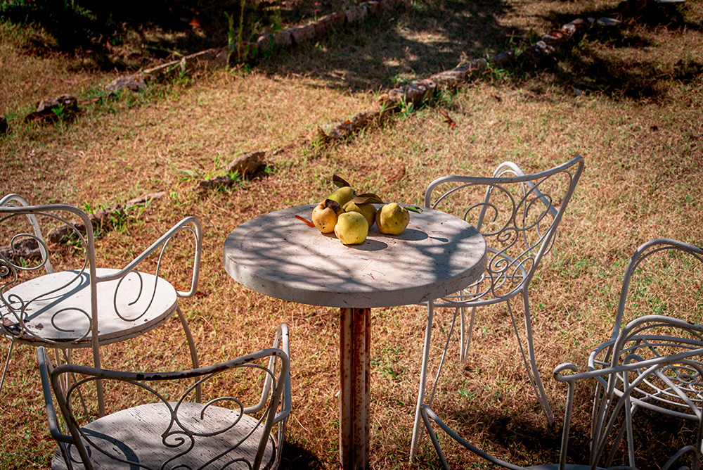 Garten auf Hvar in Kroatien