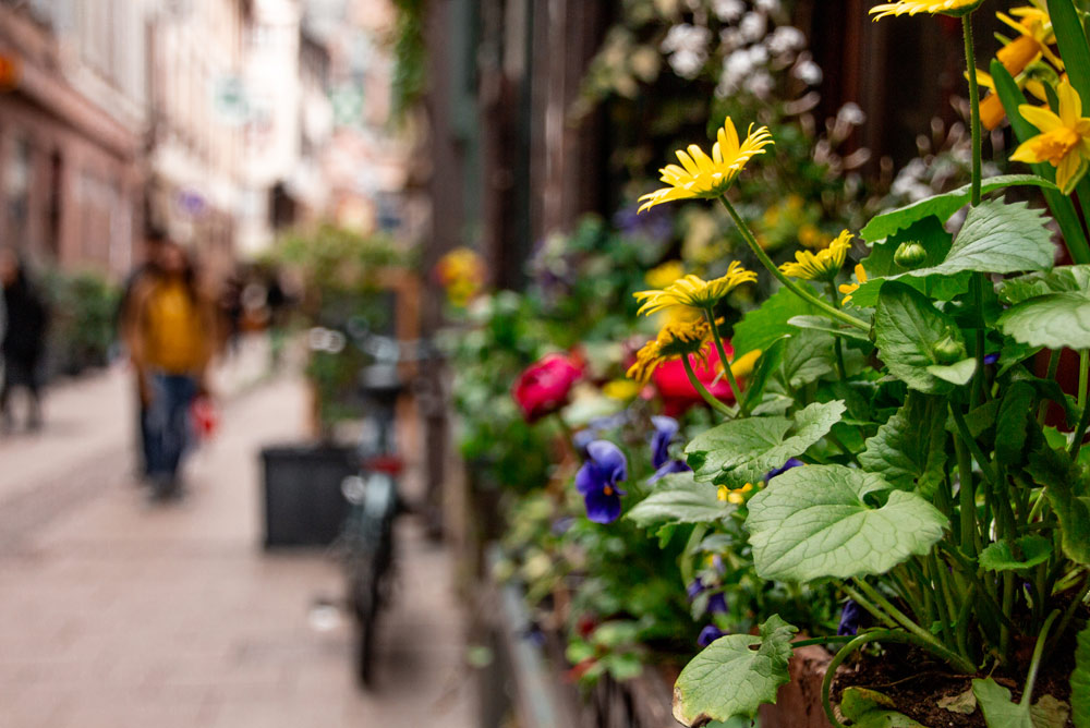 Reise und Outdoor Fotografie in Strasbourg