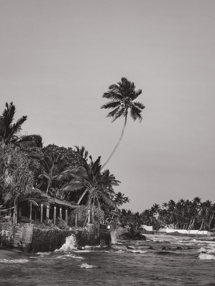 Strand mit Palmen in Sri Lanka