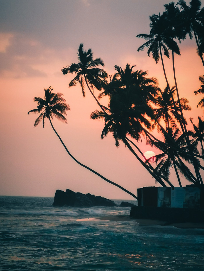 Strand mit Palmen in Sri Lanka